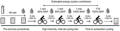 Sodium Bicarbonate Ingestion Improves Time-to-Exhaustion Cycling Performance and Alters Estimated Energy System Contribution: A Dose-Response Investigation